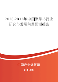 2026-2032年中國聚酯-5行業(yè)研究與發(fā)展前景預(yù)測報(bào)告