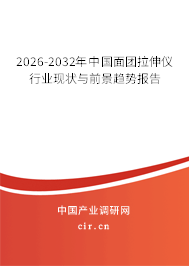 2026-2032年中國面團拉伸儀行業(yè)現(xiàn)狀與前景趨勢報告