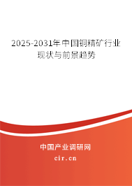 2025-2031年中國(guó)銅精礦行業(yè)現(xiàn)狀與前景趨勢(shì)