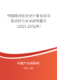 中國(guó)政府信息化行業(yè)發(fā)展深度調(diào)研與未來(lái)趨勢(shì)報(bào)告（2025-2031年）