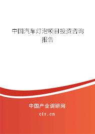 中國(guó)汽車燈泡項(xiàng)目投資咨詢報(bào)告