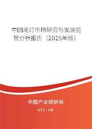 中國尾燈市場研究與發(fā)展前景分析報告（2025年版）