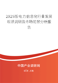 2025版電力信息化行業(yè)發(fā)展現(xiàn)狀調(diào)研及市場前景分析報告 2025版電力信息化行業(yè)發(fā)展現(xiàn)狀調(diào)研及市場前景分析報告