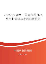 2025-2031年中國(guó)光伏項(xiàng)目總承行業(yè)調(diào)研與發(fā)展前景報(bào)告