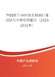 中國基于ARM微處理器行業(yè)調(diào)研與市場前景報告（2025-2031年）