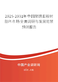 2025-2031年中國聚酰亞胺樹脂PI市場全面調(diào)研與發(fā)展前景預(yù)測報(bào)告