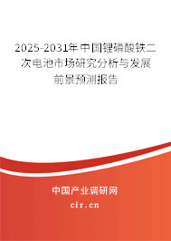 2025-2031年中國鋰磷酸鐵二次電池市場(chǎng)研究分析與發(fā)展前景預(yù)測(cè)報(bào)告
