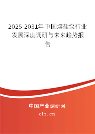 2025-2031年中國熔鹽泵行業(yè)發(fā)展深度調(diào)研與未來趨勢(shì)報(bào)告 2025-2031年中國熔鹽泵行業(yè)發(fā)展深度調(diào)研與未來趨勢(shì)報(bào)告