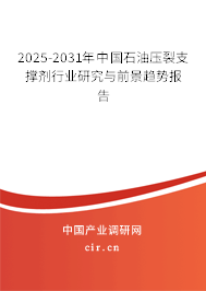 2025-2031年中國(guó)石油壓裂支撐劑行業(yè)研究與前景趨勢(shì)報(bào)告