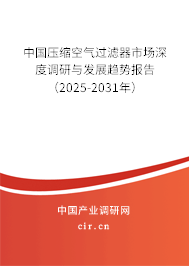 中國壓縮空氣過濾器市場深度調(diào)研與發(fā)展趨勢報告（2025-2031年）