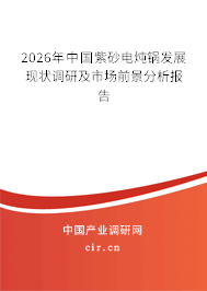 2026年中國紫砂電燉鍋發(fā)展現(xiàn)狀調(diào)研及市場前景分析報告 2026年中國紫砂電燉鍋發(fā)展現(xiàn)狀調(diào)研及市場前景分析報告
