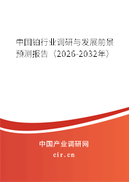 中國鉑行業(yè)調(diào)研與發(fā)展前景預(yù)測報告（2024-2030年）