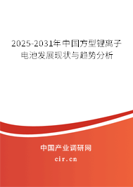 2025-2031年中國方型鋰離子電池發(fā)展現(xiàn)狀與趨勢分析