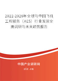 2022-2028年全球與中國飛機工程服務(wù)（AES）行業(yè)發(fā)展全面調(diào)研與未來趨勢報告