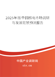 2025年版中國核電市場調(diào)研與發(fā)展前景預測報告 2025年版中國核電市場調(diào)研與發(fā)展前景預測報告