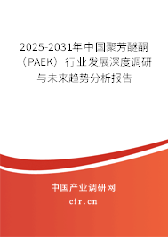 2025-2031年中國聚芳醚酮（PAEK）行業(yè)發(fā)展深度調(diào)研與未來趨勢(shì)分析報(bào)告