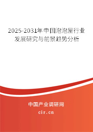 2025-2031年中國泡泡屋行業(yè)發(fā)展研究與前景趨勢分析