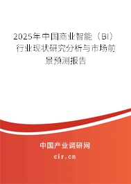 2025年中國商業(yè)智能（BI）行業(yè)現(xiàn)狀研究分析與市場前景預(yù)測報告