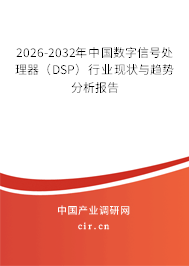 2026-2032年中國(guó)數(shù)字信號(hào)處理器（DSP）行業(yè)現(xiàn)狀與趨勢(shì)分析報(bào)告