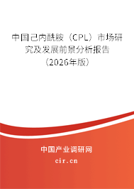 中國己內(nèi)酰胺（CPL）市場研究及發(fā)展前景分析報告（2026年版）