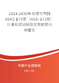 2024-2030年全球與中國ASME B73泵（ANSI B73泵）行業(yè)現(xiàn)狀調(diào)研及前景趨勢(shì)分析報(bào)告