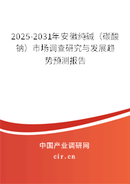 2025-2031年安徽純堿（碳酸鈉）市場調(diào)查研究與發(fā)展趨勢預測報告