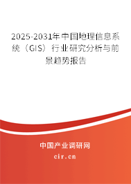 2025-2031年中國地理信息系統(tǒng)(GIS)行業(yè)研究分析與前景趨勢報告 2025-2031年中國地理信息系統(tǒng)(GIS)行業(yè)研究分析與前景趨勢報告