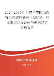 2024-2030年全球與中國動(dòng)態(tài)隨機(jī)存取存儲(chǔ)器（DRAM）行業(yè)發(fā)展深度調(diào)研與未來趨勢分析報(bào)告