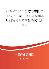 2024-2030年全球與中國(guó)二（2,2,2-三氟乙基）碳酸酯市場(chǎng)研究分析及前景趨勢(shì)預(yù)測(cè)報(bào)告