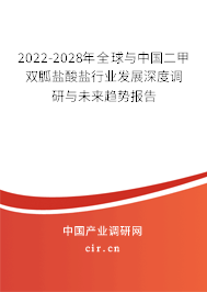 2022-2028年全球與中國(guó)二甲雙胍鹽酸鹽行業(yè)發(fā)展深度調(diào)研與未來趨勢(shì)報(bào)告