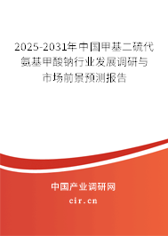 2025-2031年中國甲基二硫代氨基甲酸鈉行業(yè)發(fā)展調(diào)研與市場前景預測報告