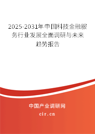 2025-2031年中國科技金融服務行業(yè)發(fā)展全面調研與未來趨勢報告
