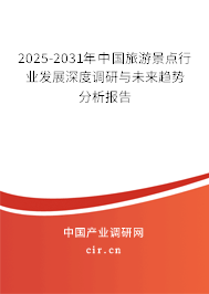 2025-2031年中國(guó)旅游景點(diǎn)行業(yè)發(fā)展深度調(diào)研與未來(lái)趨勢(shì)分析報(bào)告