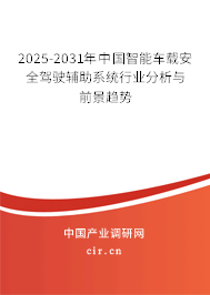 2025-2031年中國智能車載安全駕駛輔助系統(tǒng)行業(yè)分析與前景趨勢(shì)