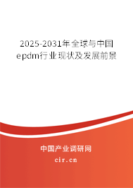 2025-2031年全球與中國(guó)epdm行業(yè)現(xiàn)狀及發(fā)展前景