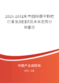 2025-2031年中國(guó)根痛平顆粒行業(yè)發(fā)展回顧及未來(lái)走勢(shì)分析報(bào)告