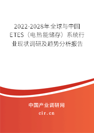 2022-2028年全球與中國ETES（電熱能儲(chǔ)存）系統(tǒng)行業(yè)現(xiàn)狀調(diào)研及趨勢(shì)分析報(bào)告
