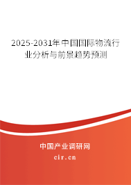 2025-2031年中國(guó)國(guó)際物流行業(yè)分析與前景趨勢(shì)預(yù)測(cè)