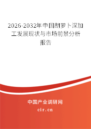 2026-2032年中國胡蘿卜深加工發(fā)展現(xiàn)狀與市場前景分析報告