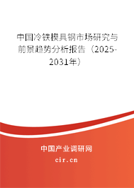 中國冷鐵模具鋼市場研究與前景趨勢分析報告（2025-2031年）