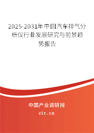 2024-2030年中國汽車排氣分析儀行業(yè)發(fā)展研究與前景趨勢報告