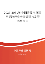 2025-2031年中國青島市互聯(lián)網(wǎng)招聘行業(yè)全面調(diào)研與發(fā)展趨勢報告