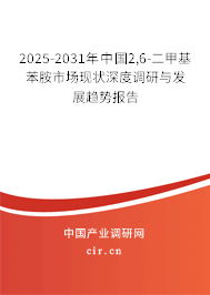 2025-2031年中國2,6-二甲基苯胺市場現(xiàn)狀深度調(diào)研與發(fā)展趨勢報告