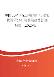 中國CSP（光熱電站）行業(yè)現(xiàn)狀調(diào)研分析及發(fā)展趨勢預測報告（2025版）