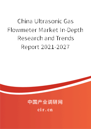 China Ultrasonic Gas Flowmeter Market In-Depth Research and Trends Report 2021-2027 China Ultrasonic Gas Flowmeter Market In-Depth Research and Trends Report 2021-2027