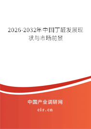 2026-2032年中國(guó)丁醛發(fā)展現(xiàn)狀與市場(chǎng)前景