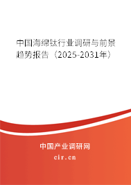 中國海綿鈦行業(yè)調(diào)研與前景趨勢報告（2025-2031年）