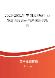 2025-2031年中國苦膽草行業(yè)發(fā)展深度調(diào)研與未來趨勢報告