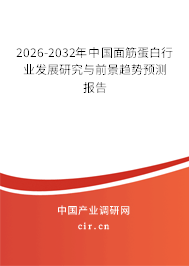 2026-2032年中國面筋蛋白行業(yè)發(fā)展研究與前景趨勢(shì)預(yù)測(cè)報(bào)告
