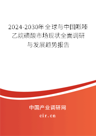2024-2030年全球與中國哌嗪乙烷磺酸市場現(xiàn)狀全面調(diào)研與發(fā)展趨勢報告
